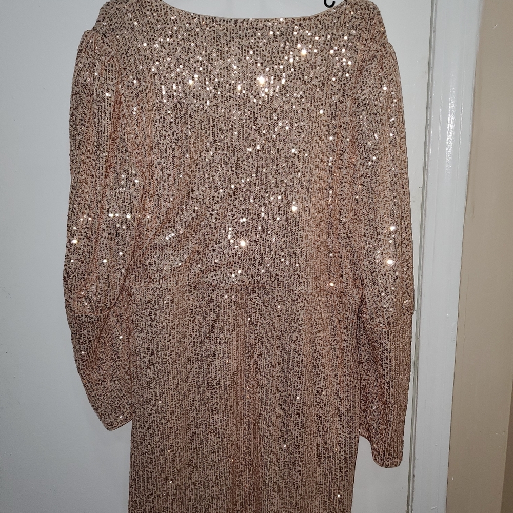 Rose Gold Glitter Dress